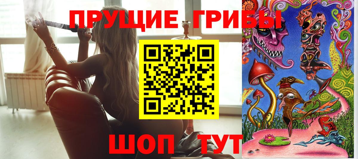 Псилоцибиновые грибы мицелий Жуковский